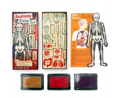 KIKKERLAND ANATOMY STAMPŲ RINKINYS 21 vnt