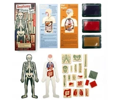 KIKKERLAND ANATOMY STAMPŲ RINKINYS 21 vnt
