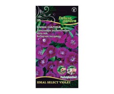 Kininių gvazdikų sėklos IDEAL SELECT VIOLET, 10 vnt