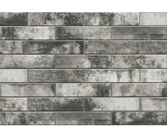 Klinkerio plytelės ARTEON GRYS ELEWACJA, 24 x 6,5 cm