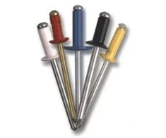 Kniedės, 3,2 x 8,0 mm, AL/PL, RAL9005, 50 vnt.