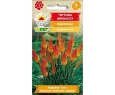 Knipofijų sėklos 0.5g