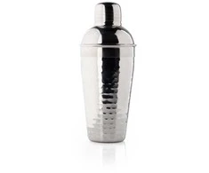 Tayloreye Kokteilių plaktuvas Taylor Eye TEV61025H, 500 ml