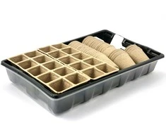 Komplektas daigams auginti 37x23x6cm kartonas/plastikas