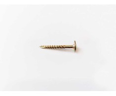 Konstr. medsraigtis plokščia galva TORX30 6,0 x 60 /36, 100 vnt.