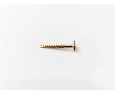 Konstr. medsraigtis plokščia galva TORX40 6,0 x 80 /48, 10 vnt.