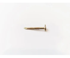 Medsraigtis Rawlplug R-PTX-40040-1000; T25; 4x40 mm; 1000 vnt.