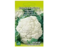 Kopūstai žiediniai Erfurter 1g 0230