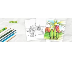 Kraidelės Cricco, 24 vnt