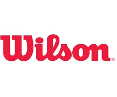 Wilson JR NBA Logo Krepsinio Kamuolio WZ2009801XB7 Lauko/Vidaus