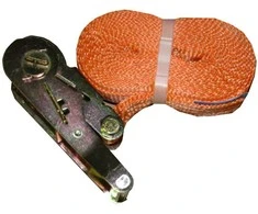 Krovinio tvirtinimo diržas 2500/5000kg/L6m