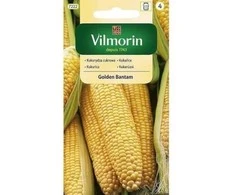 Kukurūzų sėklos Vilmorin 20g