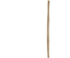 Bikuvalt Kuoliukas augalams bambukinis 10 vnt 120 cm 8-10 mm Sunnydays 16567