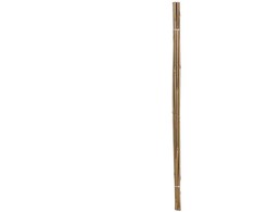 Bikuvalt Kuoliukas augalams bambukinis 10 vnt 90 cm 8-10 mm Sunnydays 16566