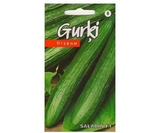 Kurzemes Seklas Agurkų sėklos 10 sėklų Saladin F1