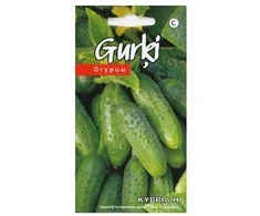 Kurzemes Seklas Agurkų sėklos 15 sėklų Kybria H