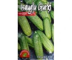 Kurzemes Seklas Agurkų sėklos 15 sėklų Trilogy H