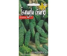 Kurzemes Seklas Agurkų sėklos 1g Alhambra H