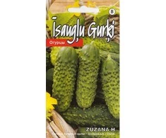 Kurzemes Seklas Agurkų sėklos Zuzana H 1g