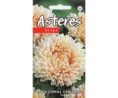 Kurzemes Seklas Astrų sėklos 0.2g Lady Coral Chamois
