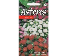 Kurzemes Seklas Astrų sėklos 0.2g Pinocchio