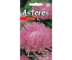 Kurzemes Seklas Astrų sėklos 0.3g Juwel Lilac Rose