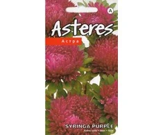 Kurzemes Seklas Astrų sėklos 0.4g Syringa Violetinė