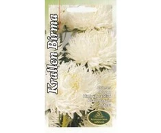 Kurzemes Seklas Astrų sėklos 0.5g Krallen Birma