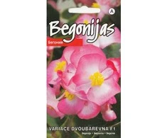 Kurzemes Seklas Begonijų sėklos 15 sėklų Variace Dvoubarevna F1
