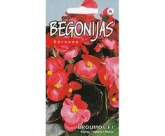 Kurzemes Seklas Begonijų sėklos 15 sėklų Broumov F1