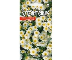 Kurzemes Seklas Chrizantemų sėklos 0.1g Baltas Stars