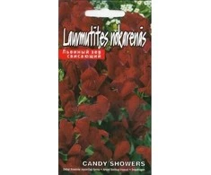 Kurzemes Seklas Didžiųjų žioveinių sėklos 10 sėklų Candy Showers Raudona