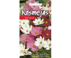 Kurzemes Seklas Kosmėjų sėklos Dwarf Sensation 0.5g spalvotos