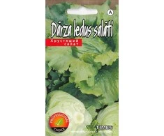 Kurzemes Seklas Ledinių salotų sėklos 15 sėklų Times