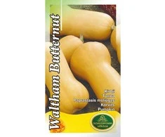 Kurzemes Seklas Moliūgų sėklos 2g Waltham Butternut