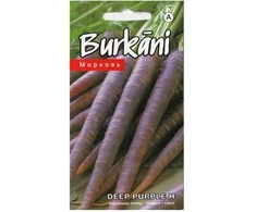 Kurzemes Seklas Morkų sėklos 0.2g Deep Violetinė F1