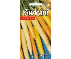 Kurzemes Seklas Morkų sėklos 0.2g Rainbow H