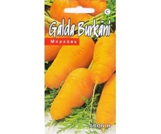 Kurzemes Seklas Morkų sėklos 1g Aron H