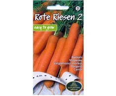 Kurzemes Seklas Morkų sėklos ant juostos 4m Rote Riesen 2