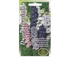 Kurzemes Seklas Pentinių sėklos Ajacis 0.5g Dwarf Hyacinth