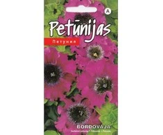 Kurzemes Seklas Petunijų sėklos 15 sėklų Bordovaja