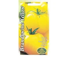 Kurzemes Seklas Pomidorų sėklos 0.1g Brandywine Geltona