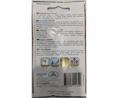 Kurzemes Seklas Ricinmedžių sėklos 5 s Gibsonii