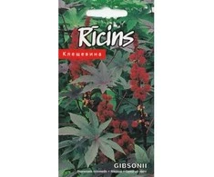 Kurzemes Seklas Ricinmedžių sėklos 5 s Gibsonii
