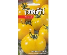 Kurzemes Seklas Šiltnaminių pomidorų sėklos 5 sėklos Lemon Boy H