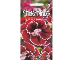 Kurzemes Seklas Šiurpinių gvazdikų sėklos Rose Lace F1 10 sėklų raudoni