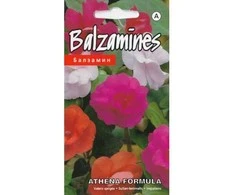 Kurzemes Seklas Sprigių sėklos 5 sėklos Athena Formula