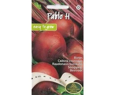 Kurzemes Seklas Valgomųjų burokėlių sėklos Pablo H 4m