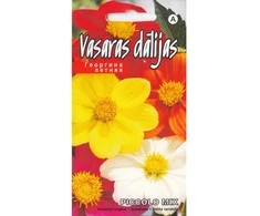 Kurzemes Seklas Vasarinių jurginų sėklos Piccolo 0.5g spalvotos