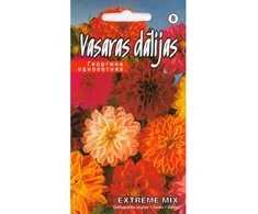 Kurzemes Seklas Vasarinių jurginų sėklos 0.2g Extreme Mix